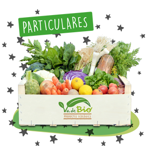 va-de-bio_venta-productos_ecologicos_mallorca_fruta-verdura-granel_fondo-caja-1c