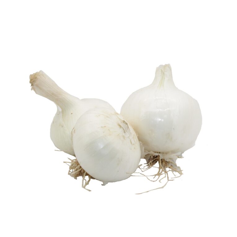 1022 Ceba blanca