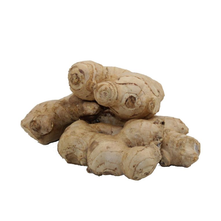 1044 Gingebre kg.