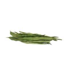 Mongeta plana