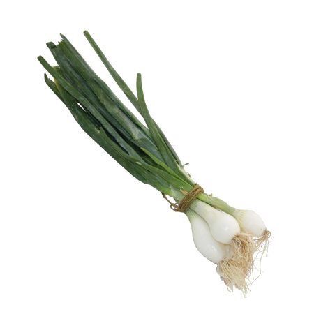 Sofrit manat