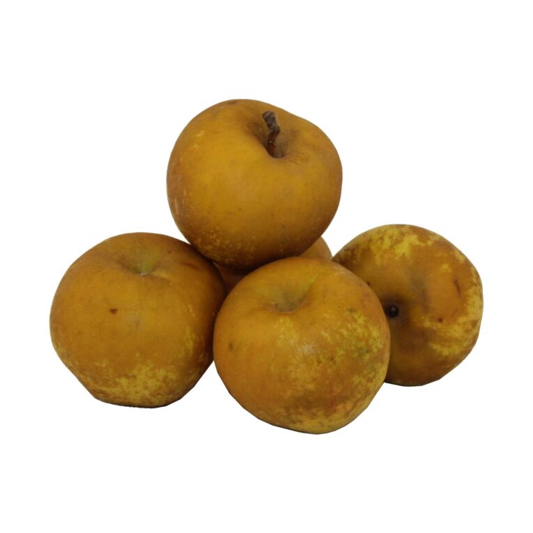 2133 Poma Reineta