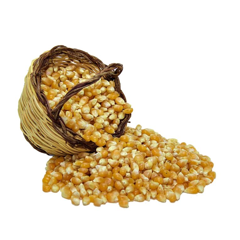 3121 Blat de moro crispetes