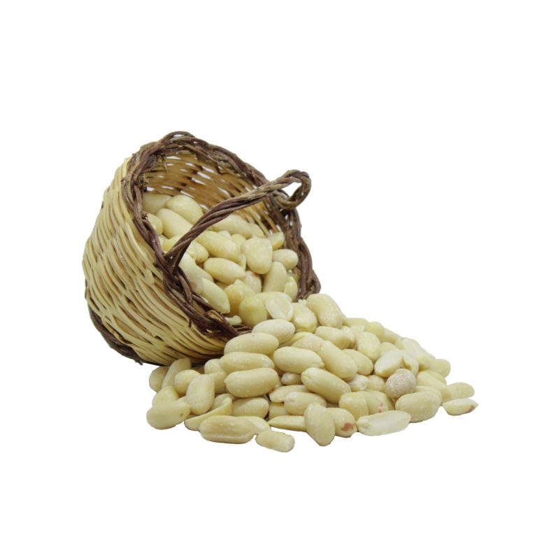 3156 Cacauet pelat